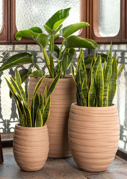 FRP Planter